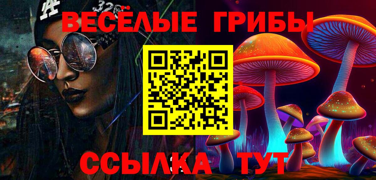Псилоцибиновые грибы прущие грибы Курск
